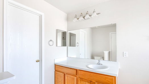 Houston 1-story, 3-bed 19007 Desert Marigold Drive-idx