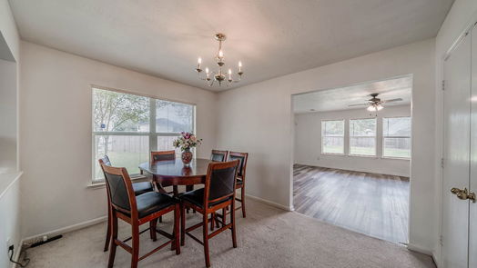Houston 2-story, 4-bed 902 Patti Lane Court-idx