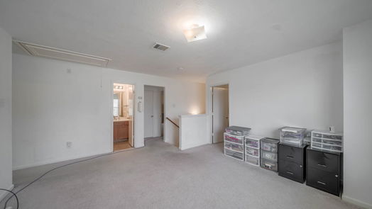 Houston 2-story, 4-bed 902 Patti Lane Court-idx