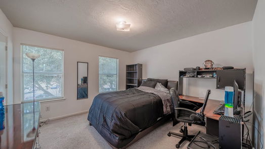 Houston 2-story, 4-bed 902 Patti Lane Court-idx
