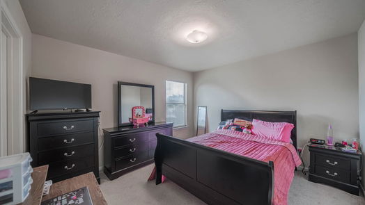 Houston 2-story, 4-bed 902 Patti Lane Court-idx