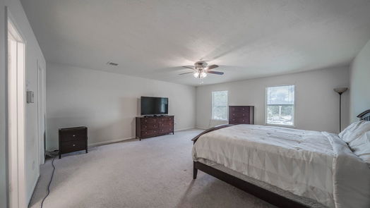 Houston 2-story, 4-bed 902 Patti Lane Court-idx