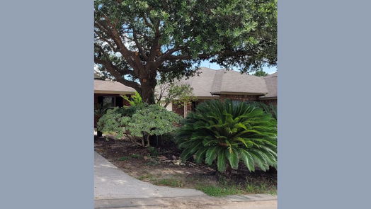 Houston 1-story, 3-bed 1635 Rosalinda Lane-idx