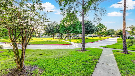 Houston 2-story, 3-bed 815 Katelyn Manor Lane-idx