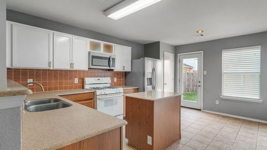 Houston null-story, 3-bed 323 Remington Creek Drive-idx
