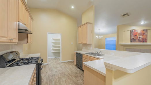 Houston 1-story, 4-bed 20911 New Leaf Court-idx