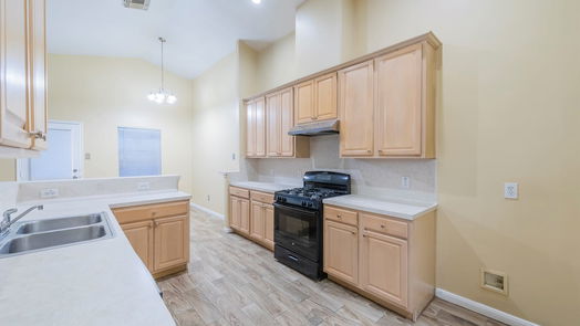 Houston 1-story, 4-bed 20911 New Leaf Court-idx