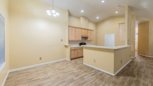 Houston 1-story, 4-bed 20911 New Leaf Court-idx