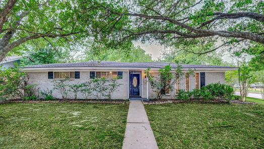 Houston 1-story, 4-bed 8302 Braeburn Valley Drive-idx