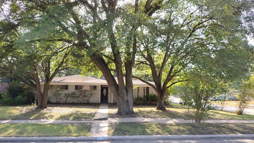 Houston 1-story, 4-bed 8302 Braeburn Valley Drive-idx