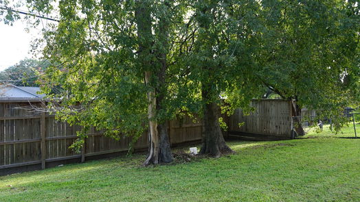 Houston 1-story, 3-bed 8717 Dunlap Street-idx