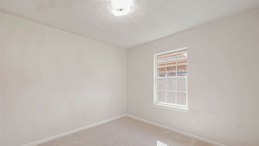 Houston 1-story, 3-bed 8930 SANGAMON Lane-idx