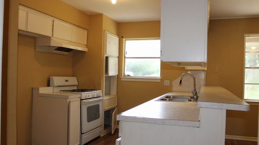 Houston null-story, 4-bed 7219 Tanager Street-idx
