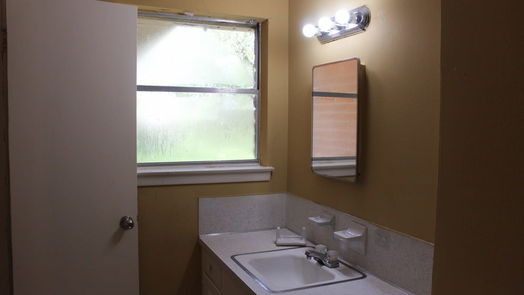 Houston null-story, 4-bed 7219 Tanager Street-idx