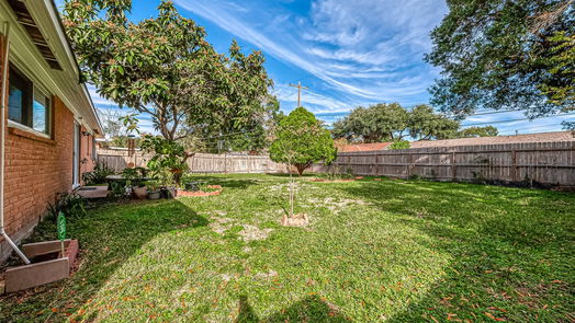 Houston 1-story, 4-bed 8607 Braes River Drive-idx