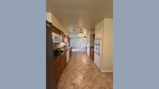 Houston 1-story, 4-bed 8607 Braes River Drive-idx
