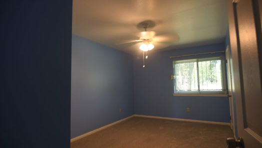 Houston 1-story, 4-bed 8607 Braes River Drive-idx