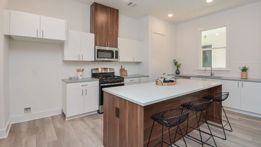 Houston 2-story, 3-bed 9617 Habitat Street-idx
