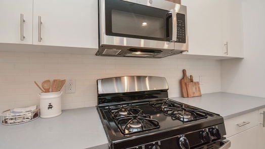 Houston 2-story, 3-bed 9617 Habitat Street-idx