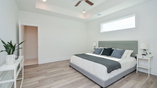 Houston 2-story, 3-bed 9617 Habitat Street-idx