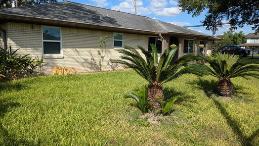 Houston 1-story, 4-bed 8943 Edgebrook Street-idx