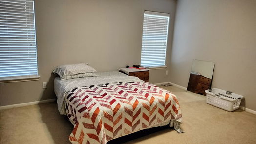 Houston 2-story, 4-bed 10318 Hinesburg Court-idx