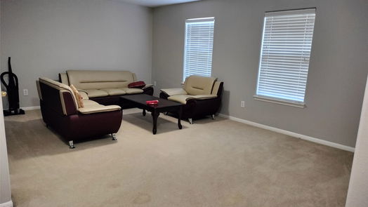 Houston 2-story, 4-bed 10318 Hinesburg Court-idx