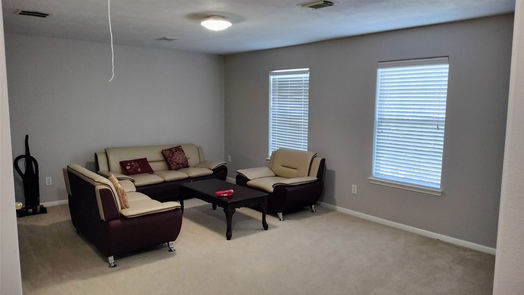 Houston 2-story, 4-bed 10318 Hinesburg Court-idx