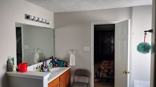 Houston 2-story, 4-bed 10318 Hinesburg Court-idx