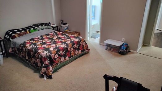 Houston 2-story, 4-bed 10318 Hinesburg Court-idx