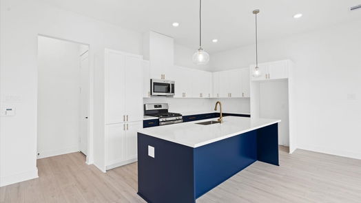 Houston 2-story, 3-bed 10092 Serrano Park Drive-idx