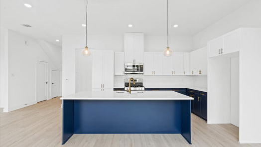 Houston 2-story, 3-bed 10092 Serrano Park Drive-idx