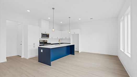 Houston 2-story, 3-bed 10092 Serrano Park Drive-idx