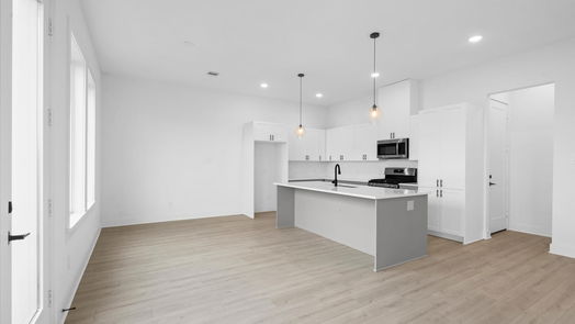 Houston 2-story, 3-bed 10090 Serrano Park Drive-idx
