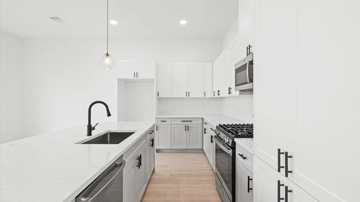 Houston 2-story, 3-bed 10090 Serrano Park Drive-idx