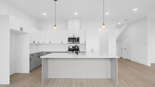 Houston 2-story, 3-bed 10090 Serrano Park Drive-idx