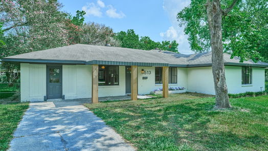Houston 1-story, 4-bed 513 Tallant Street-idx