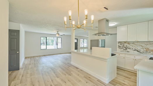 Houston 1-story, 4-bed 513 Tallant Street-idx