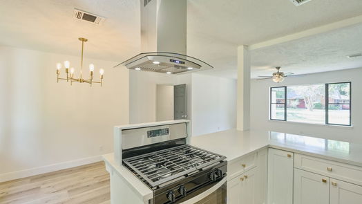Houston 1-story, 4-bed 513 Tallant Street-idx