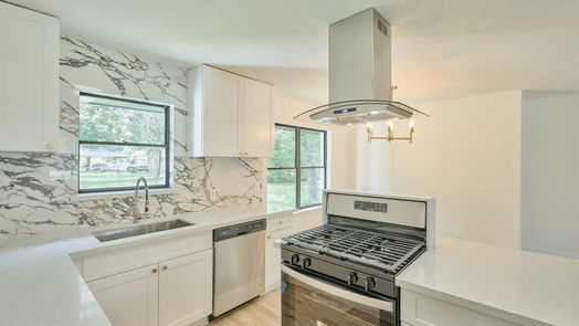 Houston 1-story, 4-bed 513 Tallant Street-idx
