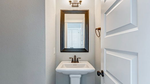 Houston 2-story, 4-bed 12523 Holly Blue Lane-idx