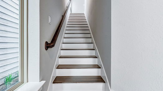 Houston 2-story, 4-bed 12523 Holly Blue Lane-idx