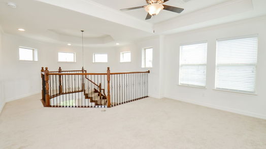 Houston 3-story, 4-bed 13213 Exmoor Terrace Drive-idx