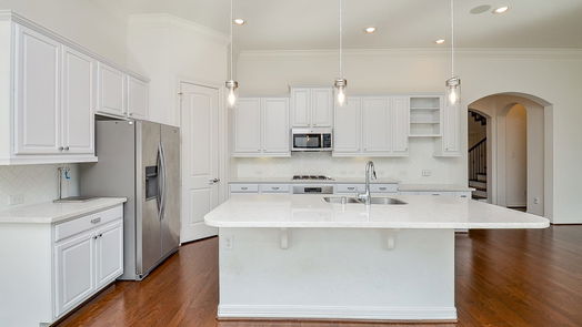 Houston 3-story, 4-bed 13213 Exmoor Terrace Drive-idx