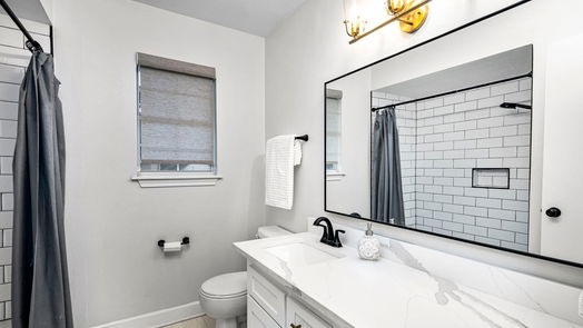 Houston 2-story, 4-bed 1502 Ashford Hollow Lane-idx