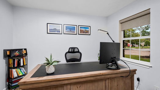 Houston 2-story, 4-bed 1502 Ashford Hollow Lane-idx