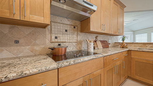 Houston 1-story, 4-bed 14002 Briar Heath Drive-idx