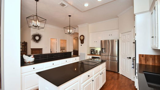 Houston 1-story, 3-bed 13931 Carriage Walk Lane-idx