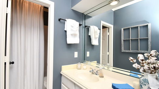 Houston 1-story, 3-bed 13931 Carriage Walk Lane-idx