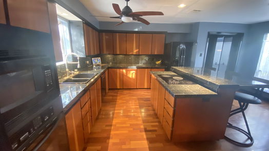 Houston 1-story, 4-bed 12323 Ella Lee Lane-idx
